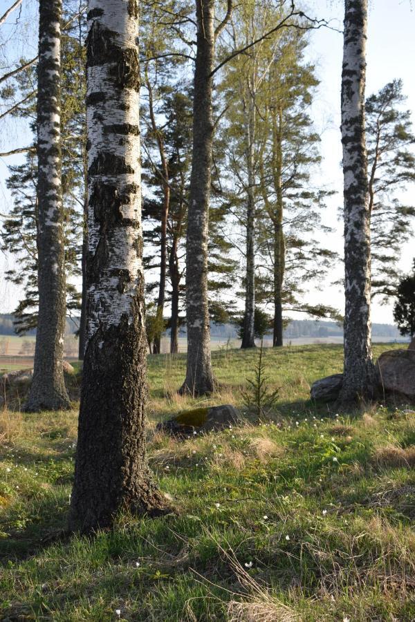 Villa Skogsbacka Расеборг Екстериор снимка